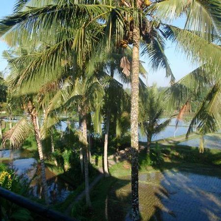 Toko Toko Bungalows Ubud  Luaran gambar