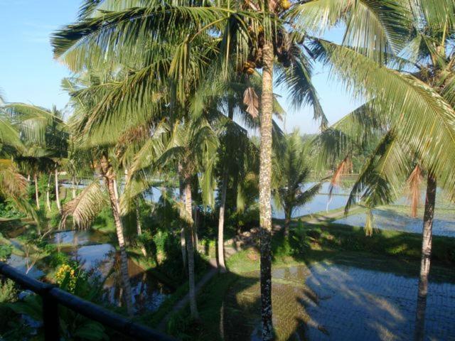 Toko Toko Bungalows Ubud  Luaran gambar